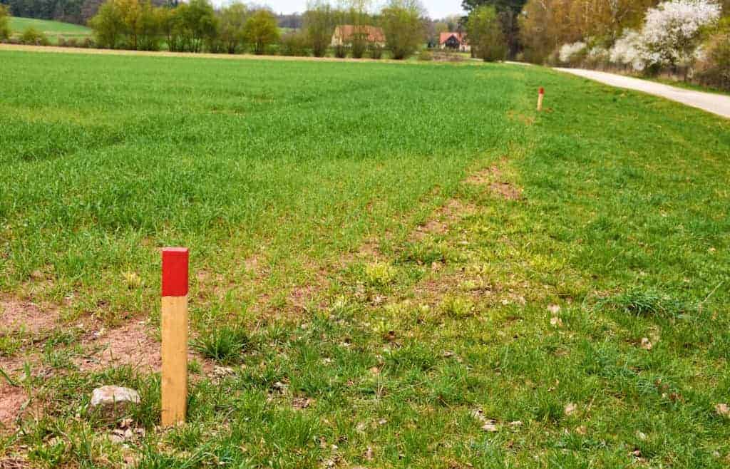 Land with marking stakes in it