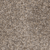 Linoleum & Carpet (CA)