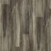 Linoleum Throughout (CA)