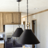 Black Pendant Shades (CS)
