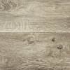 Linoleum Throughout (CS)