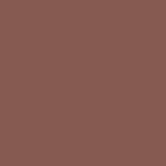 SW 6054 - Canyon Clay