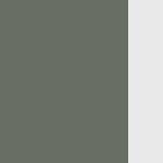 LP SmartSide - Basic Style - Ironstone Green w/ White Trim (CE)